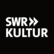 SWR Kultur "Lost in Music" 